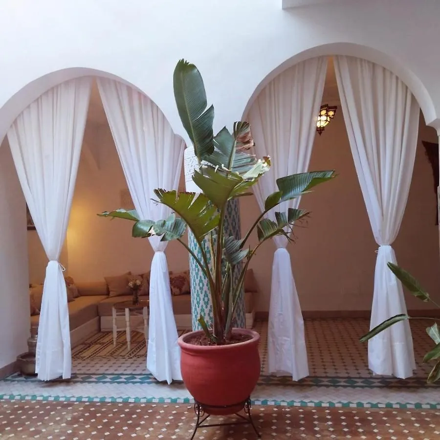 Riad El Arco Rooftop Pool & Spa Marrakesh