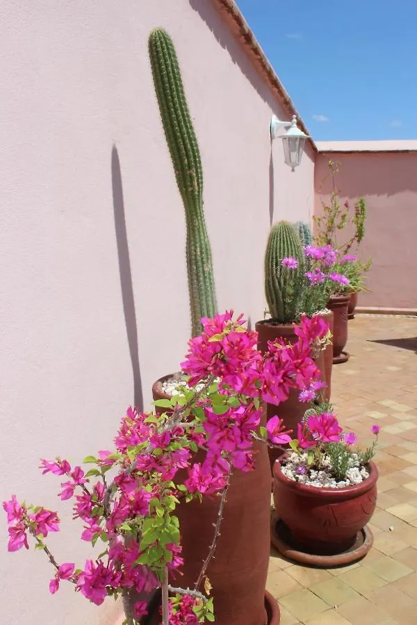 Riad El Arco Rooftop Pool & Spa Marrakesh